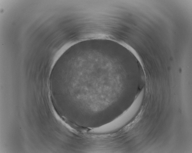 X0000070341389200606301730