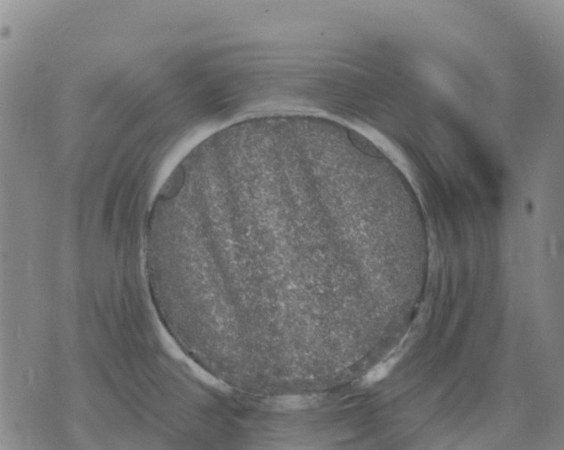 X0000070341390200606301730