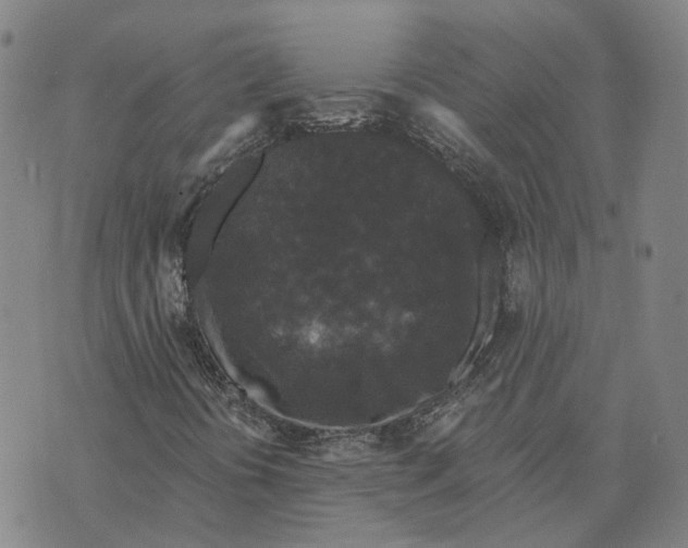 X0000070341394200606301729