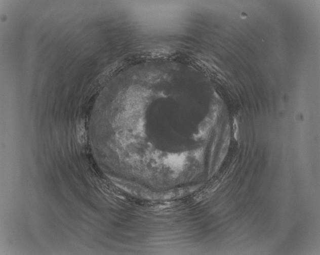 X0000070341395200606301729