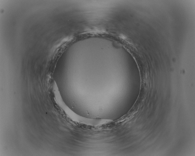 X0000070341398200606301729