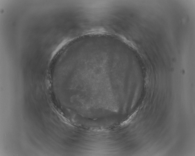 X0000070341400200606301729