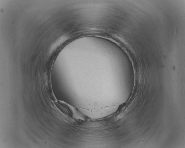 X0000070341402200606301729