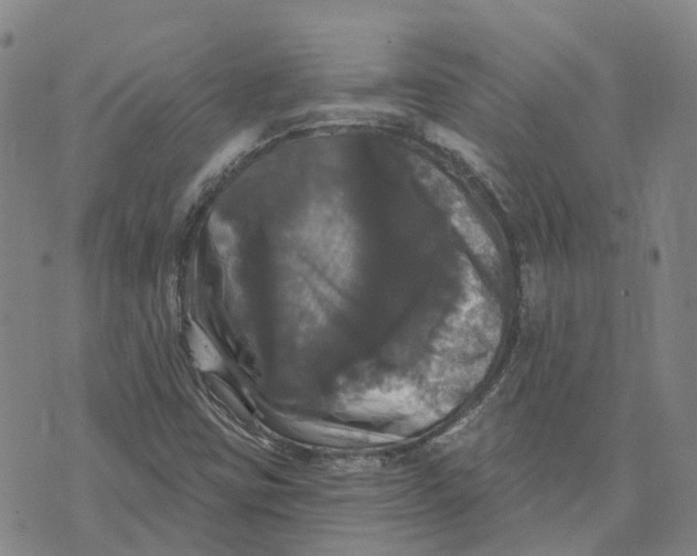 X0000070341403200606301729