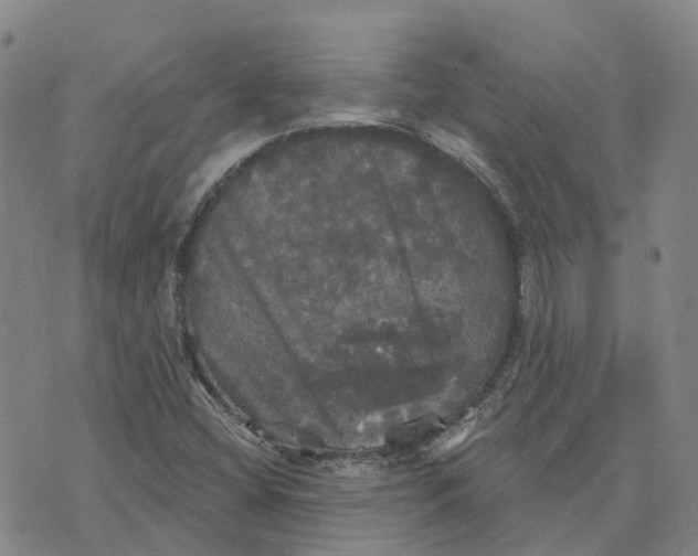 X0000070341404200606301729