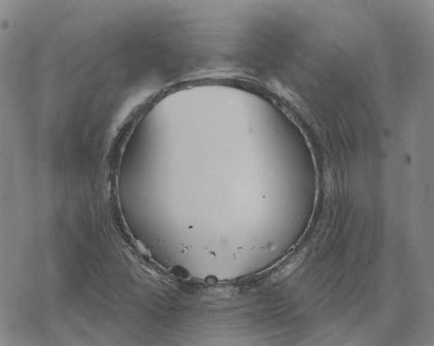 X0000070341406200606301729