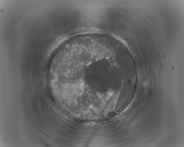 X0000070341407200606301729