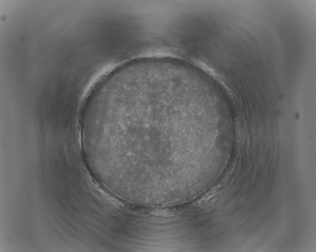 X0000070341408200606301729