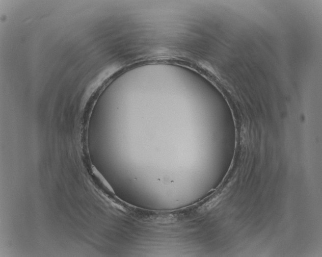 X0000070341410200606301729