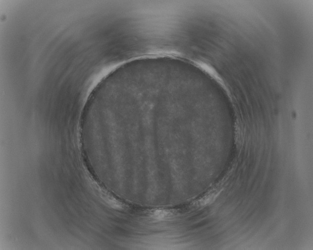 X0000070341412200606301729