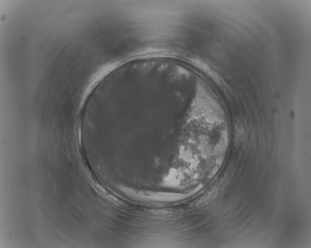 X0000070341413200606301729