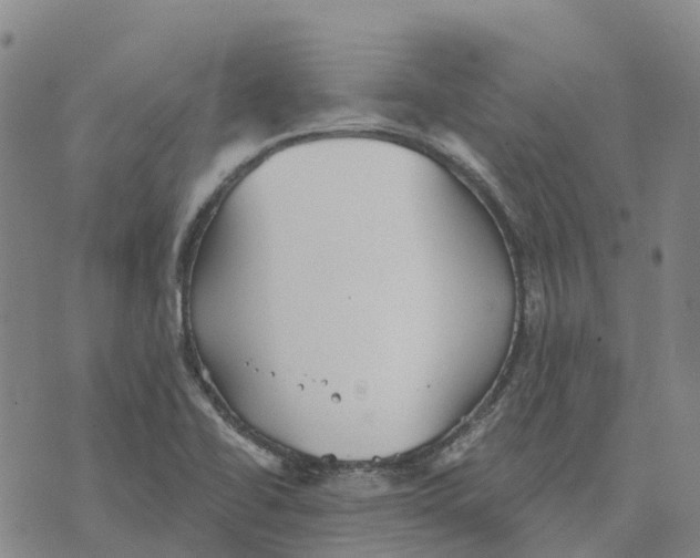 X0000070341414200606301729