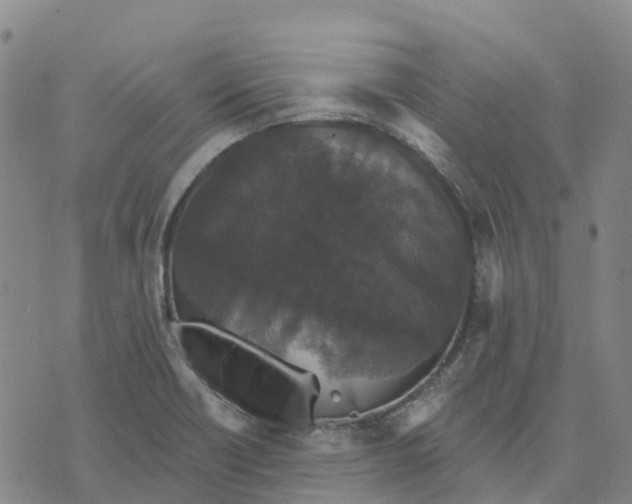 X0000070341418200606301729