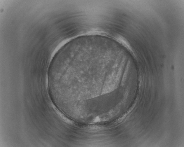 X0000070341420200606301729