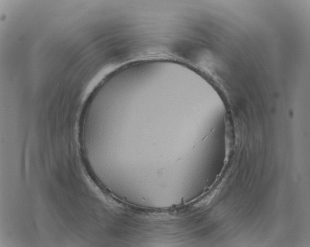 X0000070341422200606301729