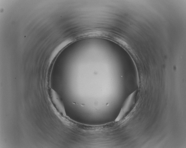 X0000070341426200606301729