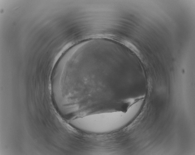 X0000070341428200606301729