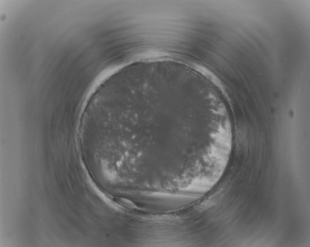 X0000070341429200606301729