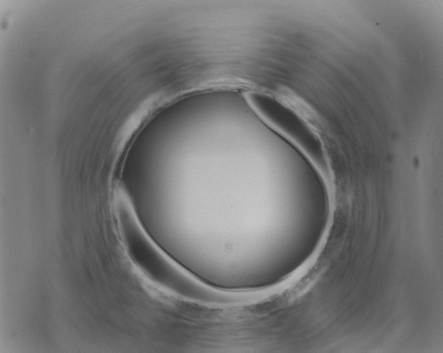 X0000070341430200606301729