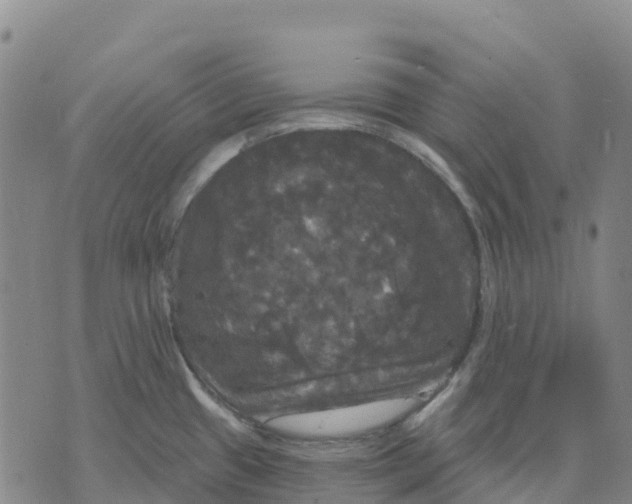 X0000070341433200606301730