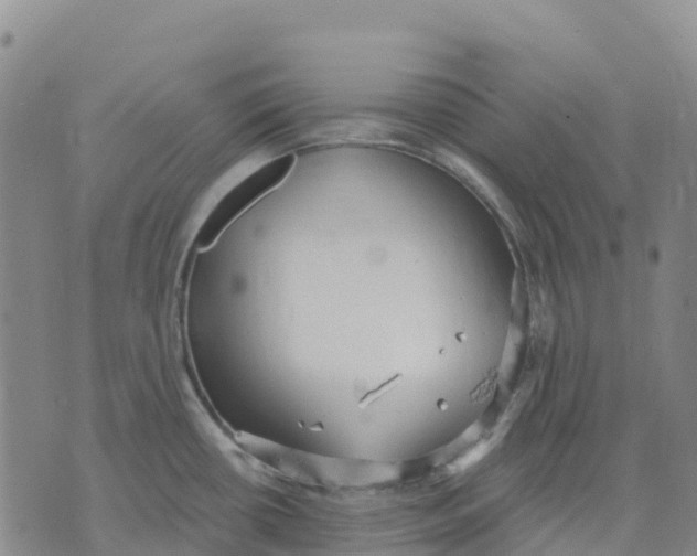 X0000070341434200606301730