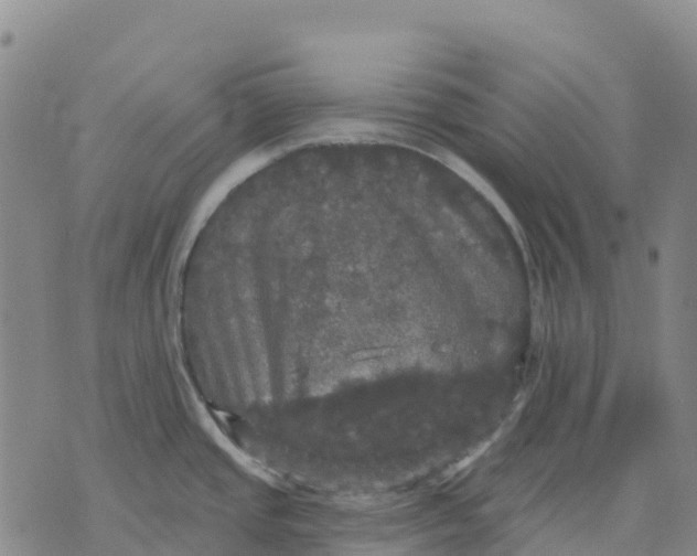 X0000070341437200606301730