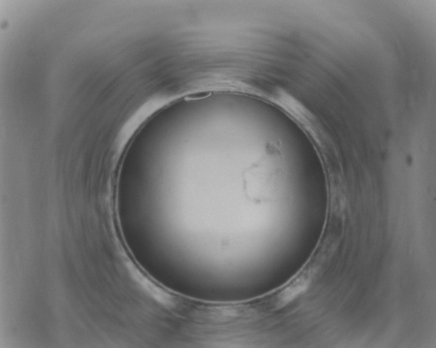 X0000070341438200606301730