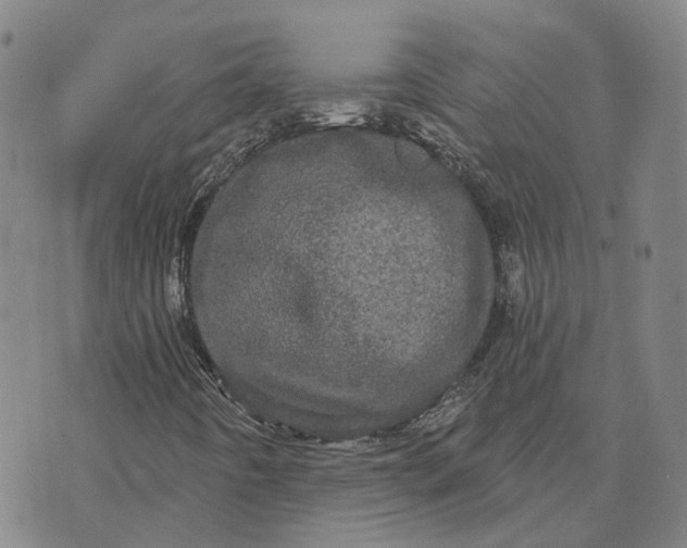 X0000070341442200606301729