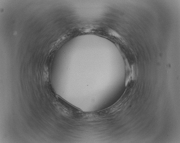 X0000070341443200606301729