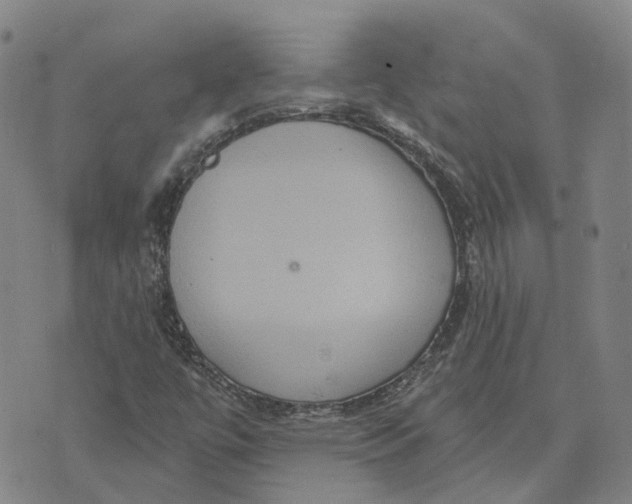 X0000070341447200606301729