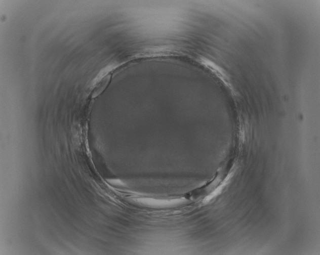 X0000070341449200606301729