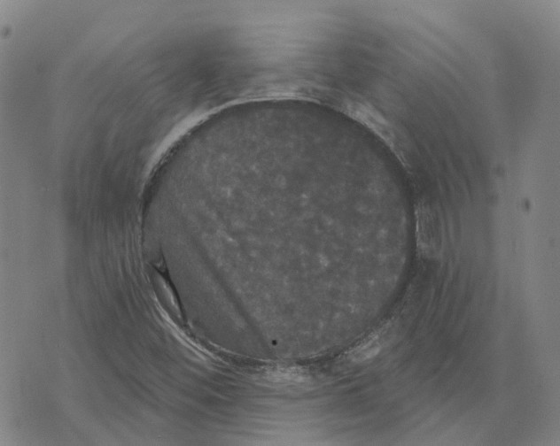 X0000070341452200606301729