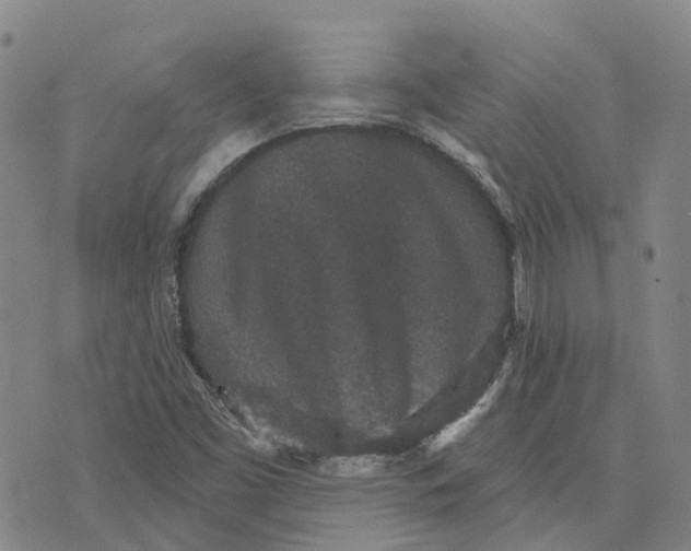 X0000070341453200606301729