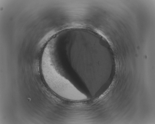 X0000070341455200606301729