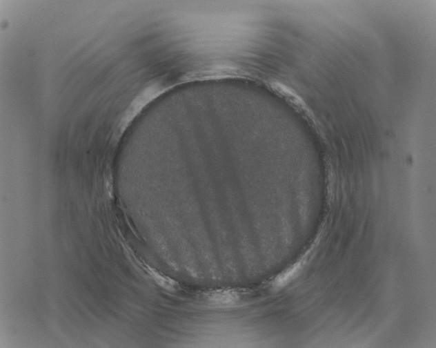 X0000070341457200606301729