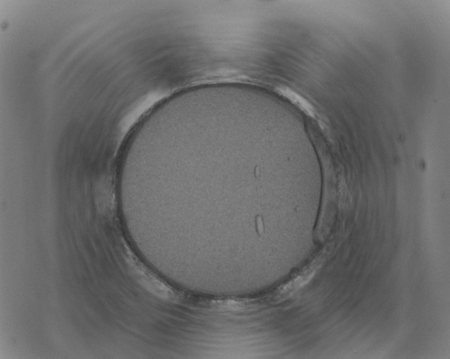 X0000070341458200606301729