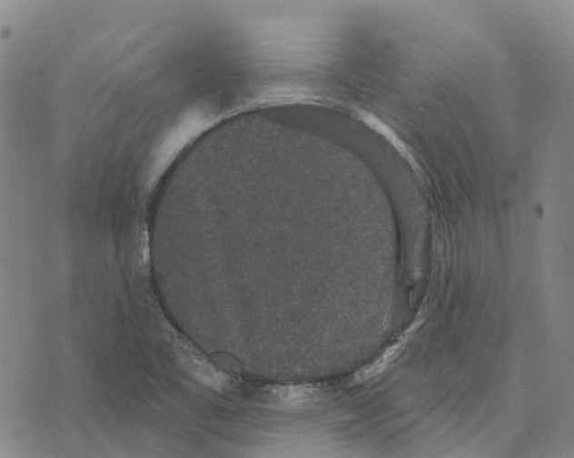 X0000070341461200606301729