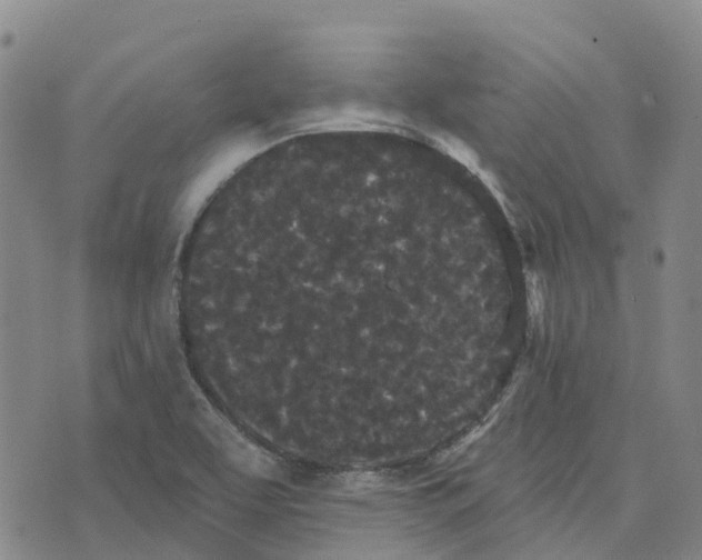 X0000070341463200606301729