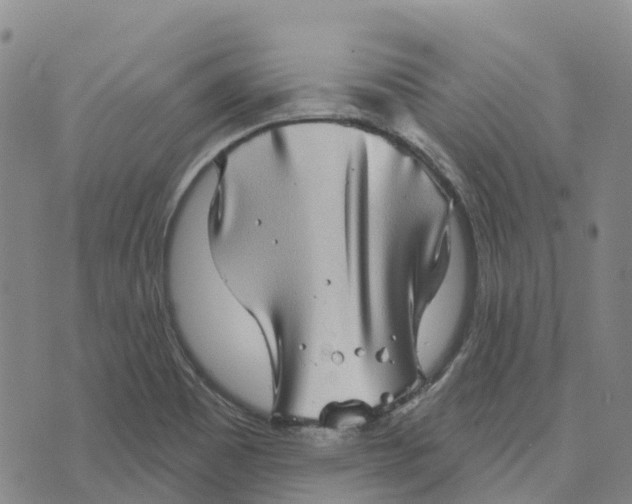 X0000070341465200606301728