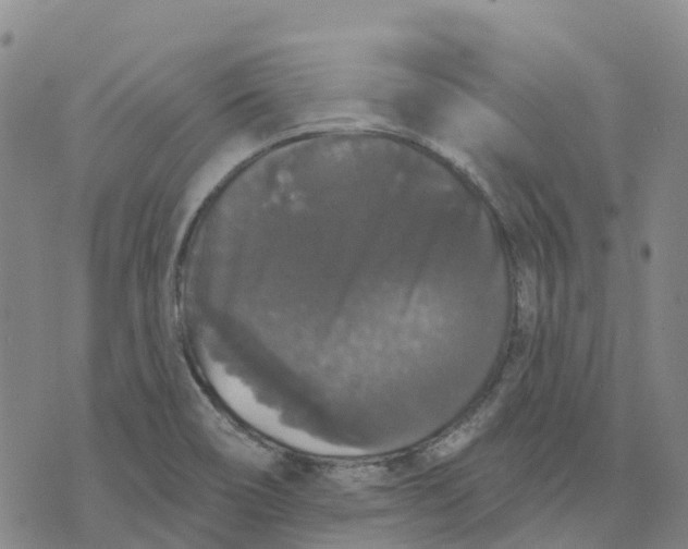 X0000070341466200606301728