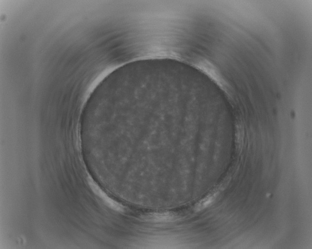 X0000070341468200606301728