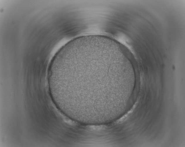 X0000070341469200606301728