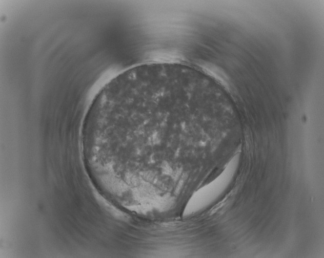 X0000070341471200606301728