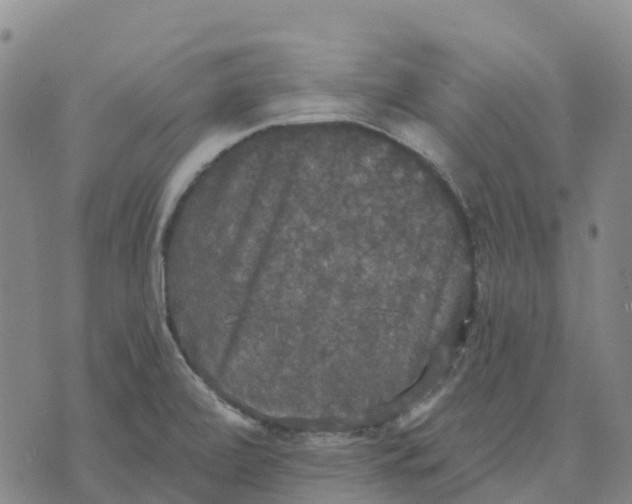 X0000070341472200606301728