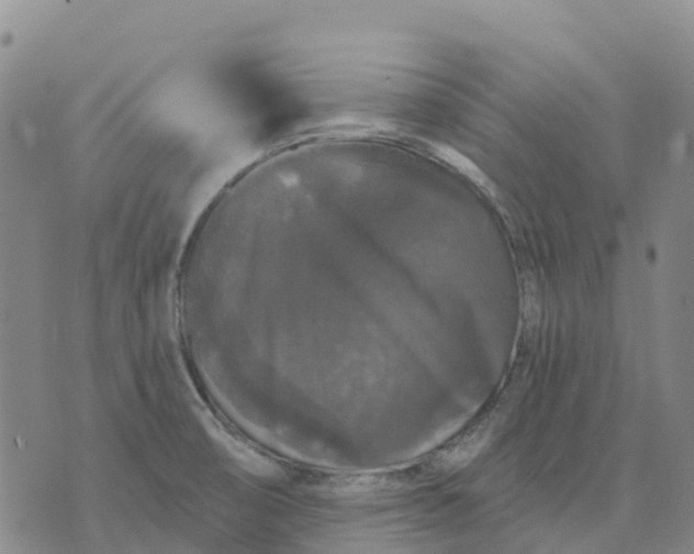 X0000070341474200606301728