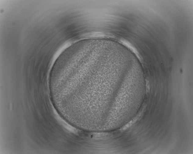 X0000070341475200606301728