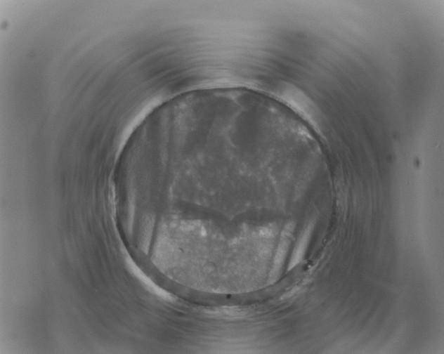 X0000070341476200606301728