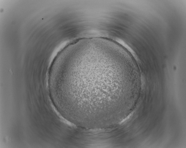 X0000070341477200606301728