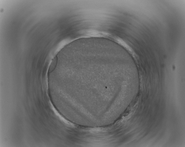 X0000070341479200606301728