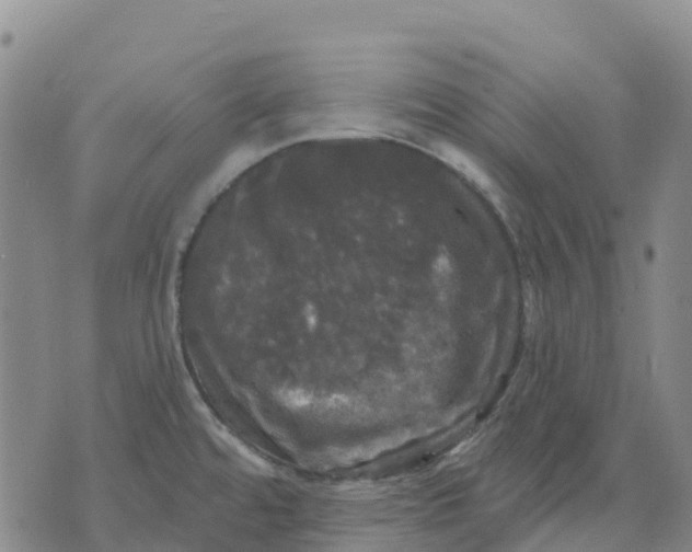 X0000070341480200606301728